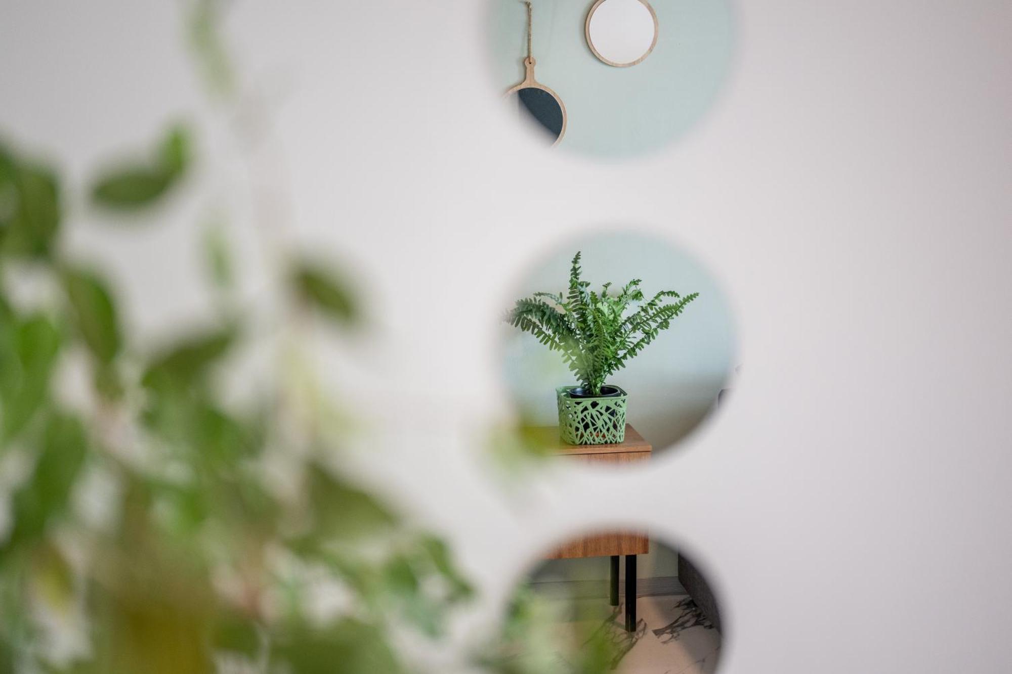 Wohlfuehlwohnung Mit 25 Qm Terrasse, Netflix Koblenz  Luaran gambar
